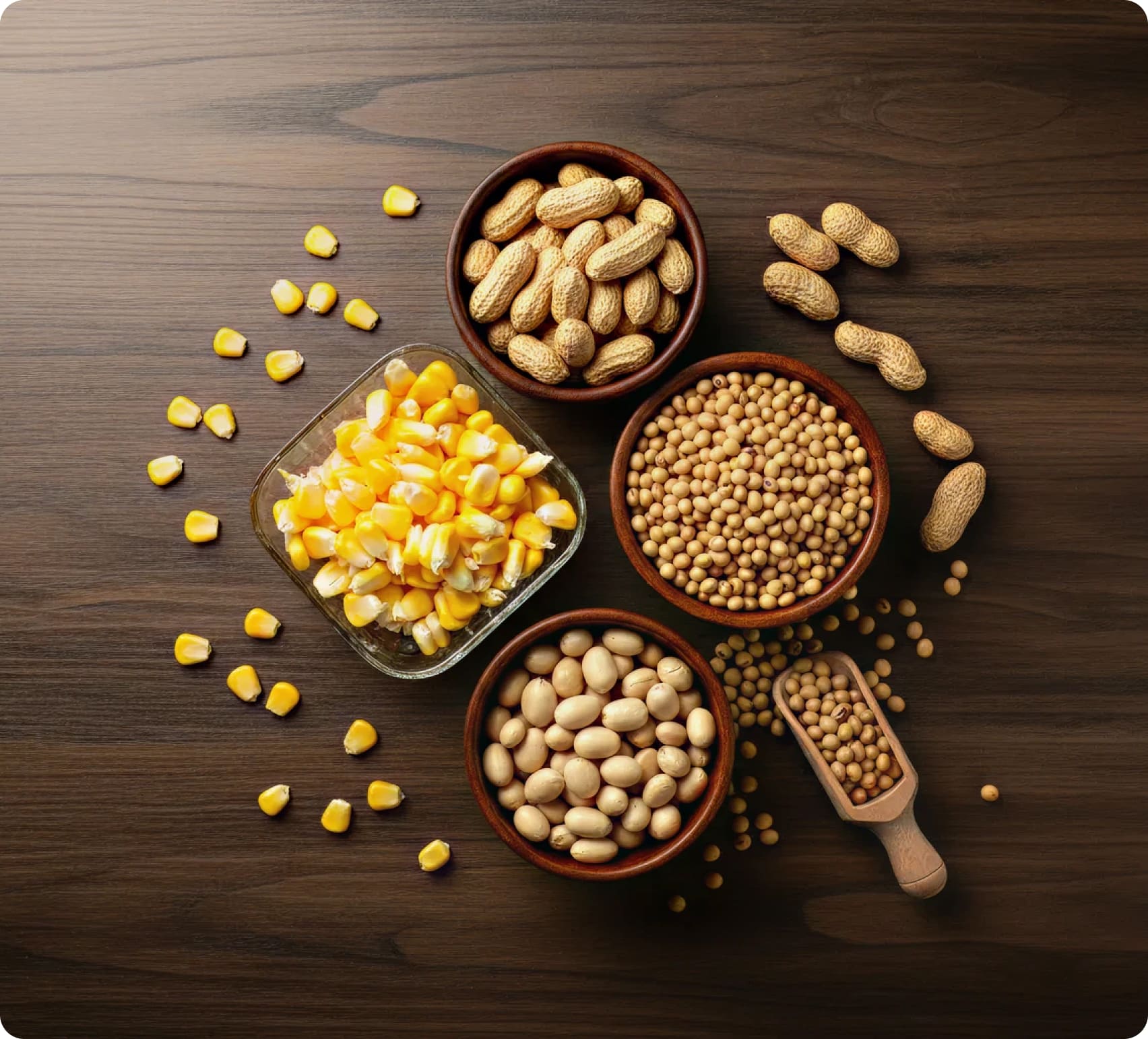 Our Commitment Community & Environment