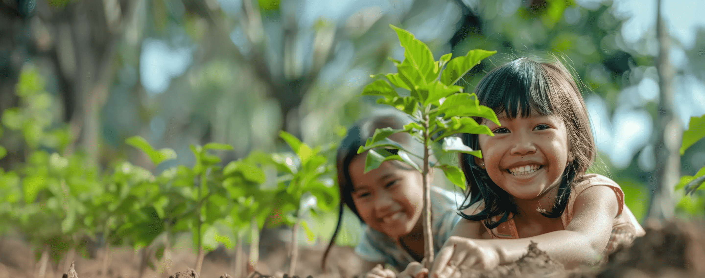 Sustainability in Action