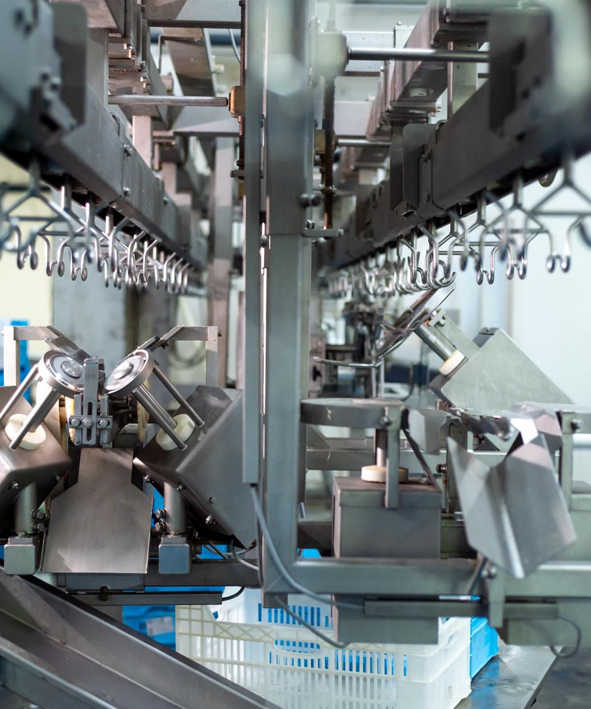 Sophisticated Additives